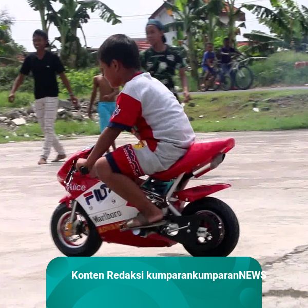 Motor ninja deals mini
